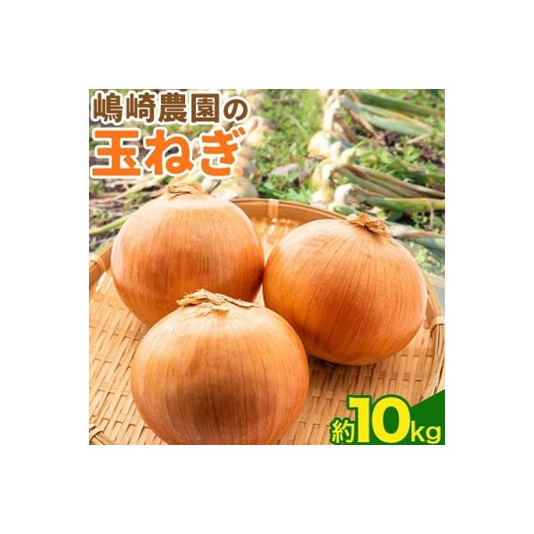 ■お礼品詳細　・返礼品情報：嶋崎農園の玉ねぎ約10kg　・名称：北もみじ2000　・内容量：約10kg　・原材料：玉ねぎ　・配送方法：常温　・提供元：嶋崎農園　・賞味期限：1ヵ月〜2ヵ月　・地場産品基準：本別町内で栽培、収穫されたもの。　・...