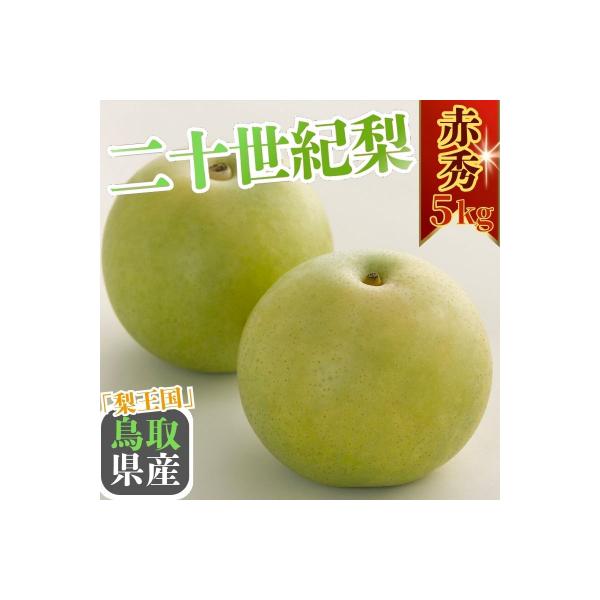 二十世紀梨(赤秀) 5kg【Y's Farm Tottori】