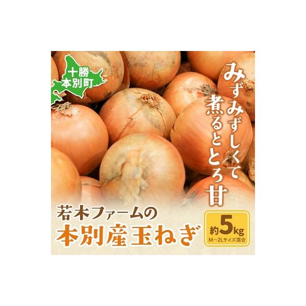 【先行受付】令和8年度産北海道十勝本別町若木ファームの玉ねぎ約5kg(北もみじ2000)