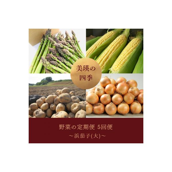 ■お礼品詳細　・提供元：美瑛町■お申し込み・配送・その他　・発送時期：アスパラ:令和8年5月〜6月 とうもろこし:令和8年8月下旬〜9月中旬 じゃがいも:令和8年9月頃 玉ねぎ:令和8年10月頃 ※天候によっては発送時期が前後する場合があり...