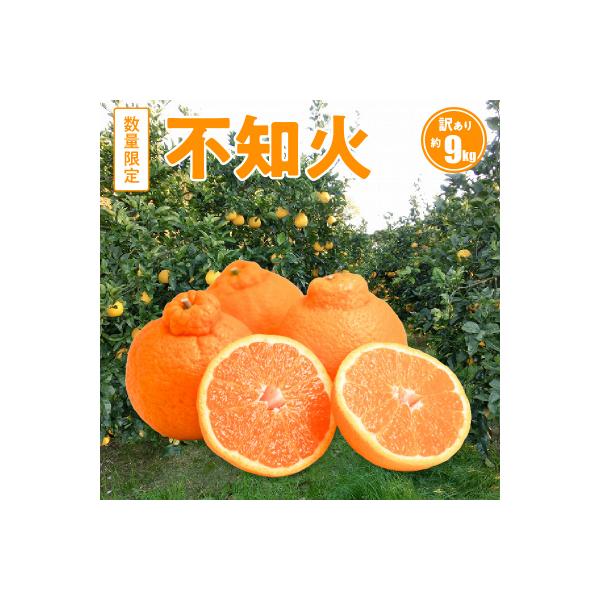〈先行受付〉訳あり 不知火 約9kg 数量限定_S086-007A