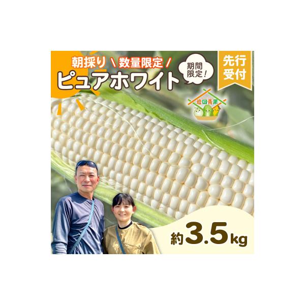 ■お礼品詳細　・配送種別：冷蔵便　・提供元：八千代町■お申し込み・配送・その他　・発送時期：2026年6月下旬からお申込み受付順に順次発送予定※発送予定日のお問い合わせはお答えできかねます。※天候の影響で収穫時期が前後する場合がございます。...