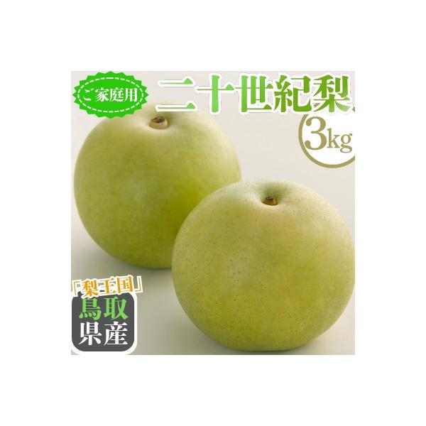 二十世紀梨(家庭用) 3kg【Y's Farm Tottori】
