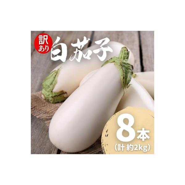 ■お礼品詳細　・お礼品提供元：土佐の美味茄子　・配送方法：通常（常温便）　/　クロネコヤマト　・提供元：室戸市■お申し込み・配送・その他　・発送時期：※7月〜8月は苗の入れ替え、作付け期間となるため発送ができません。恐れ入りますが、6月〜8...