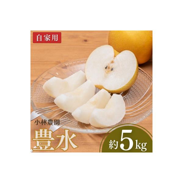 先行予約 和梨 豊水 自家用 約5kg 小林農園 【010P072】