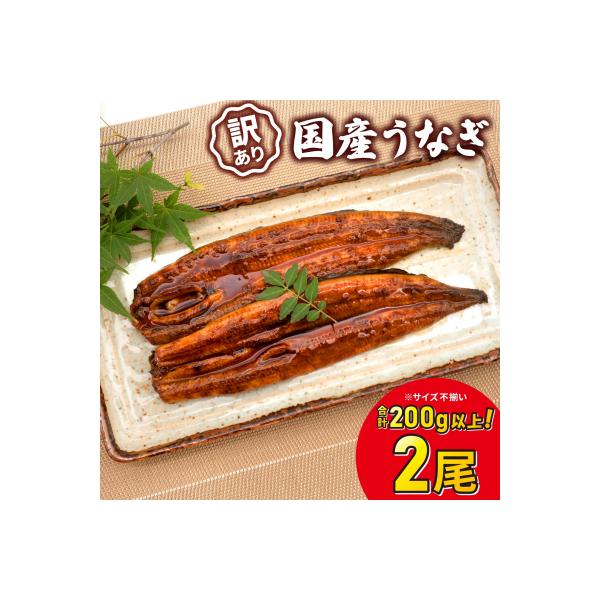 【2026年6月発送】 国産 うなぎ 2尾 200g以上 鰻 蒲焼 蒲焼き 訳あり