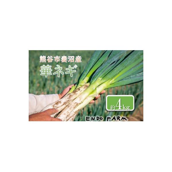 ■お礼品詳細　・提供元事業者：遠藤ファーム株式会社　・内容量：約4kg　・配送方法：通常　・賞味期限：出荷日から約６日間　・提供元：熊谷市■お申し込み・配送・その他　・発送時期：入金確認後2週間程度で発送。 ★期間限定商品です(発送可能時期...