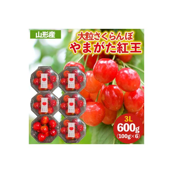 ■お礼品詳細　・配送方法：冷蔵　・事業者名：山形多田青果株式会社　・提供元：山形市■お申し込み・配送・その他　・発送時期：2026年06月15日頃〜2026年07月05日頃※状況により配送時期が前後する場合がございます。(着日指定不可)※山...