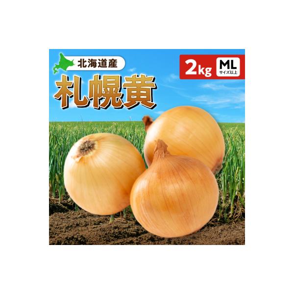 ■お礼品詳細　・事業者：有限会社山県商店　・提供元：札幌市■お申し込み・配送・その他　・発送時期：ご入金確認後、1〜2週間程度で発送予定※誠に恐れ入りますが札幌市では仕様上、お礼品発送通知メールを送付できかねます。何卒ご理解いただけますよう...