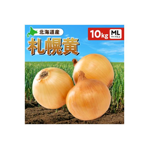 ■お礼品詳細　・事業者：有限会社山県商店　・提供元：札幌市■お申し込み・配送・その他　・発送時期：ご入金確認後、1〜2週間程度で発送予定※誠に恐れ入りますが札幌市では仕様上、お礼品発送通知メールを送付できかねます。何卒ご理解いただけますよう...