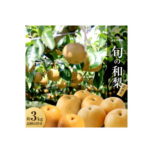 ■お礼品詳細　・賞味期限：出荷後3日程度。暗冷所保管高温になりやすい場合は野菜室保管　・発送種別：通常便　・事業者：吉川果樹園　・提供元：角田市■お申し込み・配送・その他　・発送時期：8月中旬から10月下旬/8月中旬以降準備でき次第、順次発...