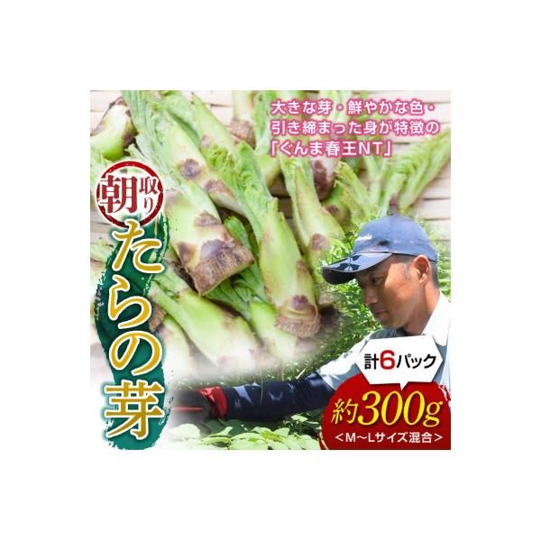 ■お礼品詳細　・配送方法：冷蔵便　・内容量：たらの芽 50g以上（約5〜10本）×6パック ※M〜Lサイズの混合、計300gの発送となります。　・消費期限：製造・加工後 7日以内　・事業者：清水勝　・提供元：富岡市■お申し込み・配送・その他...