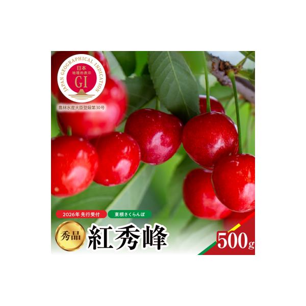 ■お礼品詳細　・容量：紅秀峰 秀品 500g　・賞味期限：出荷日から3日　・配送方法：冷蔵　・保存方法：冷蔵で保存してください ※ご到着後は、期限に関わらずお早めにお召し上がりください。　・提供事業者：株式会社　松栗　・提供元：東根市■お申...