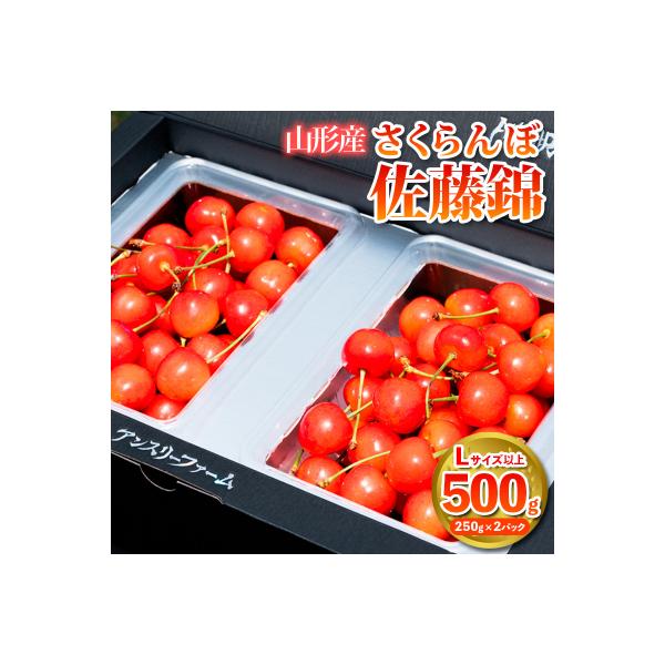 ■お礼品詳細　・配送方法：冷蔵　・事業者名：株式会社アンスリーファーム　・提供元：山形市■お申し込み・配送・その他　・発送時期：2026年06月10日頃〜2026年07月10日頃※状況により配送時期が前後する場合がございます。(着日指定不可...