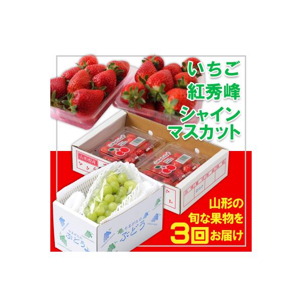 ■お礼品詳細　・配送方法：冷蔵　・事業者名：佐竹物産株式会社　・提供元：山形市■お申し込み・配送・その他　・発送時期：★ご入金の翌月または翌々月以降より順次お届けいたします★※果物は、天候や収穫状況により、配送時期が前後する場合がございます...