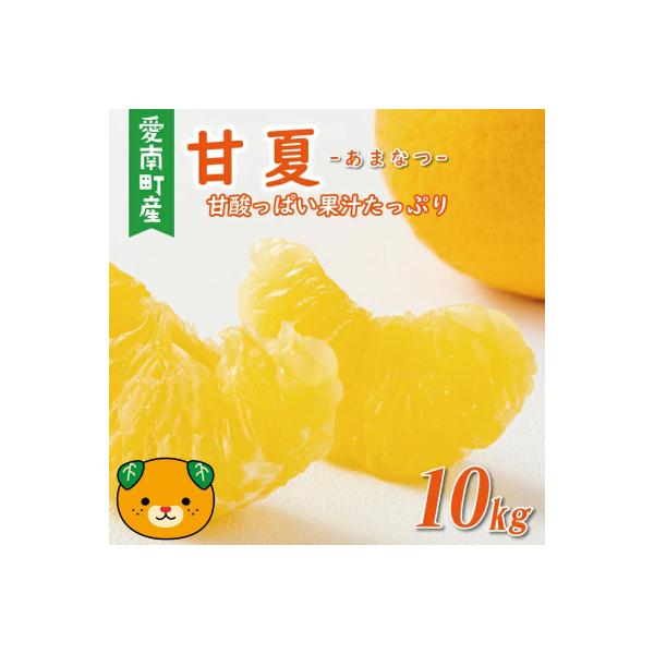 【先行予約:2026年12月中旬～発送】 訳あり 甘夏 10kg くらもとファーム 愛媛県 愛南町