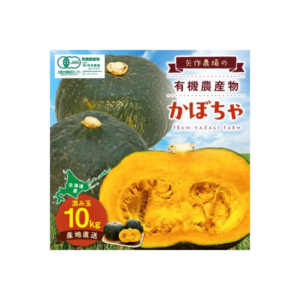 ■お礼品詳細　・配送方法：通常便　・賞味期限：常温：風通しの良い冷暗所で１ヵ月。夏場は冷蔵庫の野菜室で１ヵ月。　・提供元：津別町■お申し込み・配送・その他　・発送時期：令和8年9月中旬〜随時発送　・申込受付期間：通年申込を受け付けております...