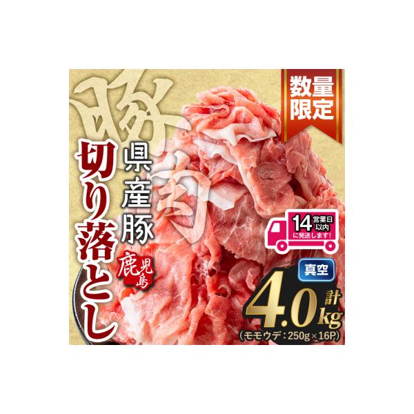 鹿児島県産 豚肉切り落とし (計4kg )