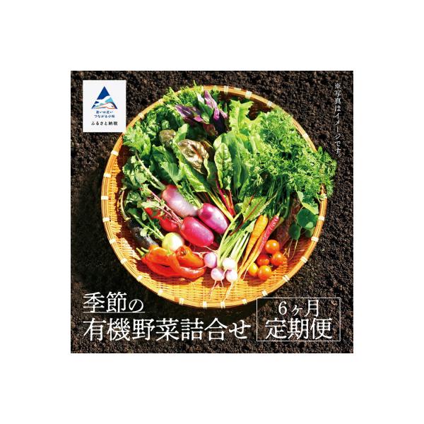 ■お礼品詳細　・内容量：野菜の種類はお任せください。段ボール1箱分×6か月　・消費期限：生ものになりますので、なるべくお早めにお召し上がりください。　※ラベルに記載　・配送：季節・気温におうじて通常便または冷蔵便でお送りします　・事業者名：...