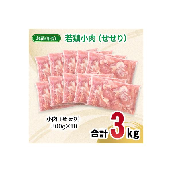 宮崎県産若鶏小肉(セセリ)3kg 小分け300g×10パック せせり[2982]