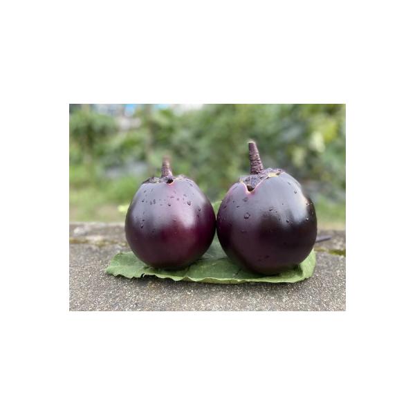 ■お礼品詳細　・消費期限：発送日+3日　・配送方法：冷蔵　・事業者：虹色Farm　・提供元：京都市■お申し込み・配送・その他　・発送時期：2026年7月・8月・9月(計3回)お届けします　・申込受付期間：通年　・配達外のエリア：　・寄付証明...