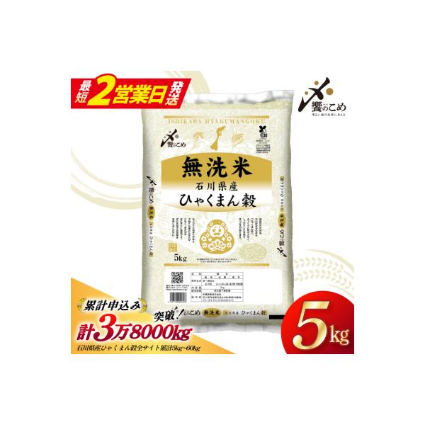 米 無洗米 令和7年産 石川県産 ひゃくまん穀 5kg [中橋商事株式会社 38601326-sp]