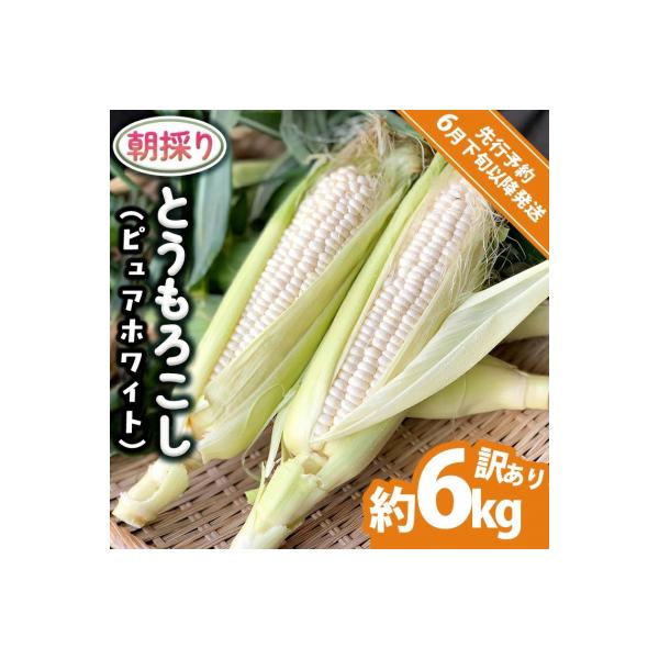 ■お礼品詳細　・配送種別：冷凍便　・提供元：八千代町■お申し込み・配送・その他　・発送時期：2026年6月下旬からお申込み受付順に順次発送予定※発送予定日のお問い合わせはお答えできかねます。※天候の影響で収穫時期が前後する場合がございます。...