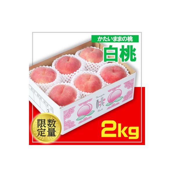 ■お礼品詳細　・配送方法：冷蔵　・事業者名：佐竹物産株式会社　・提供元：山形市■お申し込み・配送・その他　・発送時期：2026年08月15日頃〜2026年09月15日頃※状況により配送時期が前後する場合がございます。(着日指定不可)※山形市...