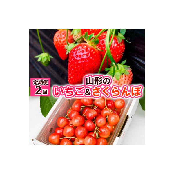 ■お礼品詳細　・配送方法：冷蔵　・事業者名：株式会社froSch　・提供元：山形市■お申し込み・配送・その他　・発送時期：2026年04月10日頃〜2026年07月05日頃※状況により配送時期が前後する場合がございます。(着日指定不可)※山...