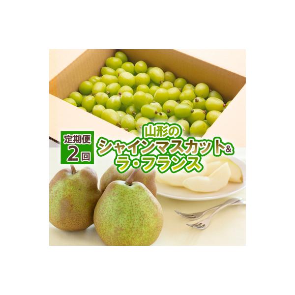 ■お礼品詳細　・配送方法：冷蔵・常温　・事業者名：株式会社froSch　・提供元：山形市■お申し込み・配送・その他　・発送時期：2026年09月20日頃〜2026年11月25日頃※状況により配送時期が前後する場合がございます。(着日指定不可...