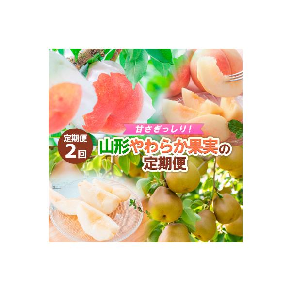 ■お礼品詳細　・配送方法：冷蔵・常温　・事業者名：ノノハナ　・アレルギー情報：もも　・提供元：山形市■お申し込み・配送・その他　・発送時期：2026年08月10日頃〜2026年12月01日頃※状況により配送時期が前後する場合がございます。(...