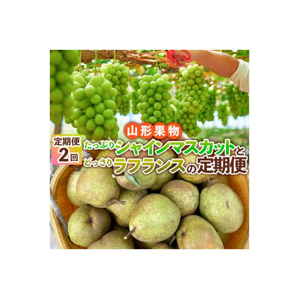 ■お礼品詳細　・配送方法：冷蔵・常温　・事業者名：株式会社森からの恵み　・提供元：山形市■お申し込み・配送・その他　・発送時期：2026年09月20日頃〜2026年12月10日頃※状況により配送時期が前後する場合がございます。(着日指定不可...