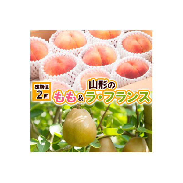 ■お礼品詳細　・配送方法：冷蔵・常温　・事業者名：株式会社froSch　・アレルギー情報：もも　・提供元：山形市■お申し込み・配送・その他　・発送時期：2026年09月01日頃〜2026年11月25日頃※状況により配送時期が前後する場合がご...