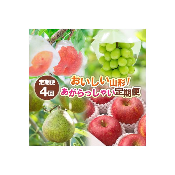 ■お礼品詳細　・配送方法：冷蔵・常温　・事業者名：ノノハナ　・アレルギー情報：もも/りんご　・提供元：山形市■お申し込み・配送・その他　・発送時期：2026年08月10日頃〜2026年12月25日頃※状況により配送時期が前後する場合がござい...