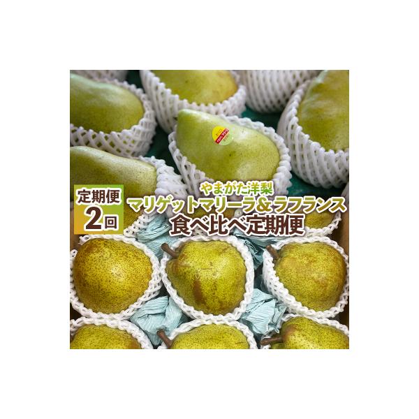 ■お礼品詳細　・配送方法：常温　・事業者名：株式会社森からの恵み　・提供元：山形市■お申し込み・配送・その他　・発送時期：2026年09月15日頃〜2026年11月30日頃※状況により配送時期が前後する場合がございます。(着日指定不可)※山...