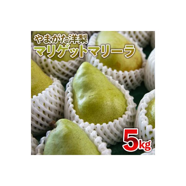 ■お礼品詳細　・配送方法：常温　・事業者名：株式会社森からの恵み　・提供元：山形市■お申し込み・配送・その他　・発送時期：2026年09月15日頃〜2026年10月15日頃※状況により配送時期が前後する場合がございます。(着日指定不可)※山...