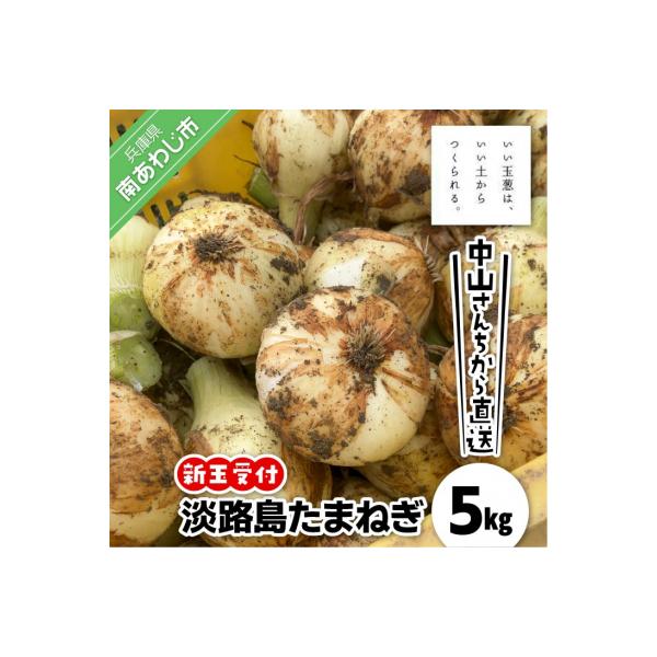 【新玉収穫中!すぐ発送!】中山さんちから直送 淡路島たまねぎ 5㎏