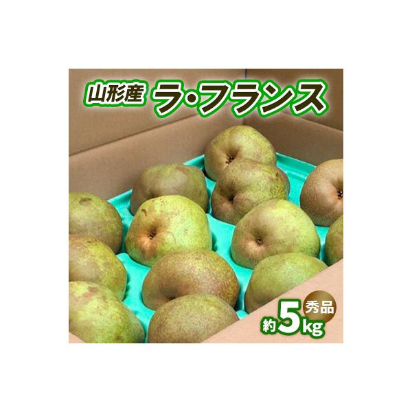 ■お礼品詳細　・配送方法：常温　・事業者名：株式会社スプリングス　・提供元：山形市■お申し込み・配送・その他　・発送時期：2026年11月01日頃〜2026年11月30日頃※状況により配送時期が前後する場合がございます。(着日指定不可)※山...