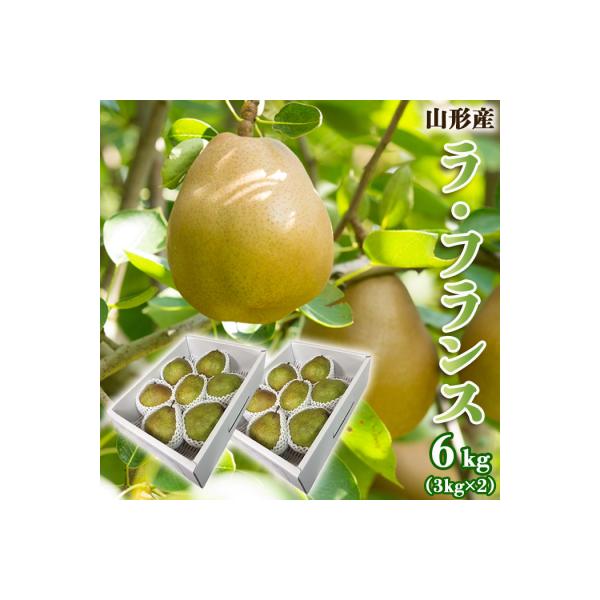 ■お礼品詳細　・配送方法：常温　・事業者名：株式会社スプリングス　・提供元：山形市■お申し込み・配送・その他　・発送時期：2026年11月01日頃〜2026年11月30日頃※状況により配送時期が前後する場合がございます。(着日指定不可)※山...