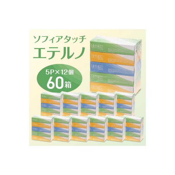 マスコー製紙 ソフィアタッチ エテルノ ティッシュペーパー 150組×5箱×12パック (60箱)