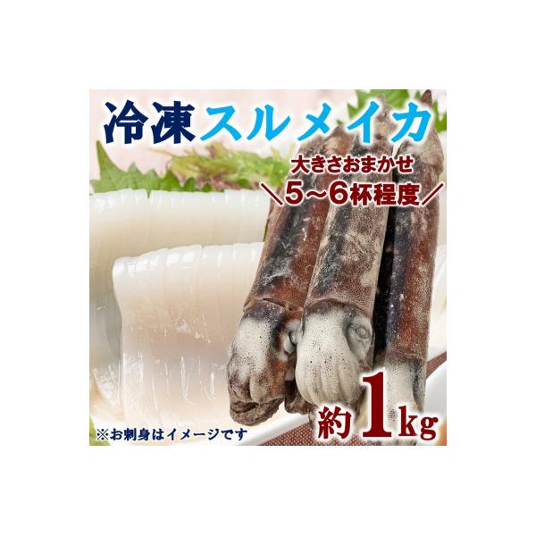 三陸水産 冷凍スルメイカ 約1kg (5～6杯程度)