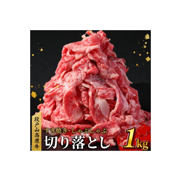 国産 段戸山高原牛 切り落とし 1kg スライス 赤身 肉じゃが 牛丼