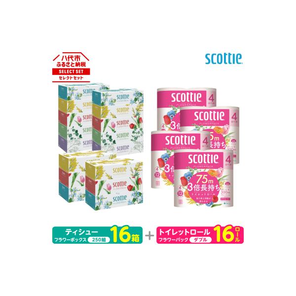 ティッシュ 250組 16箱 +トイレットペーパー ダブル 16ロール スコッティ_186-6555