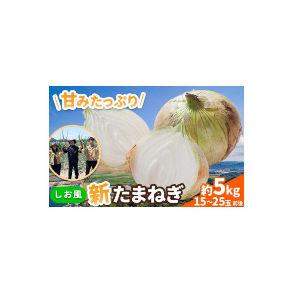 しお風 新たまねぎ 5kg 大きさ不揃い《5月中旬-6月上旬頃出荷》岡山県 笠岡市