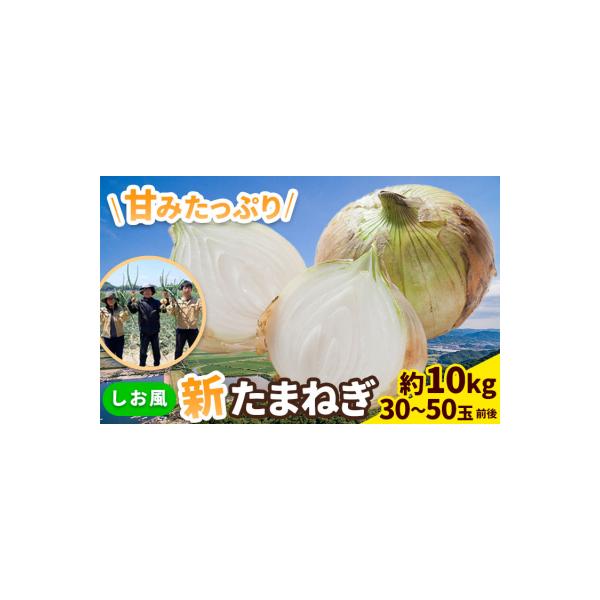 しお風 新たまねぎ 10kg 大きさ不揃い《5月中旬-6月上旬頃出荷》岡山県 笠岡市