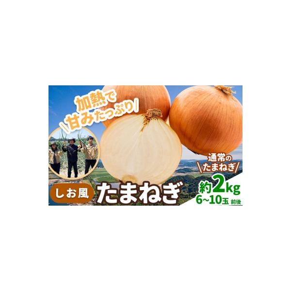しお風 たまねぎ 2kg 大きさ不揃い《6月上旬-6月末頃出荷》岡山県 笠岡市