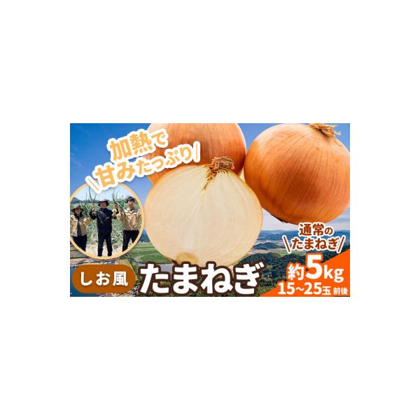 しお風 たまねぎ 5kg 大きさ不揃い《6月上旬-6月末頃出荷》岡山県 笠岡市