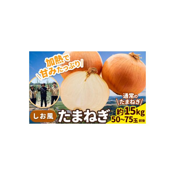 しお風 たまねぎ 15kg 大きさ不揃い《6月上旬-6月末頃出荷》岡山県 笠岡市