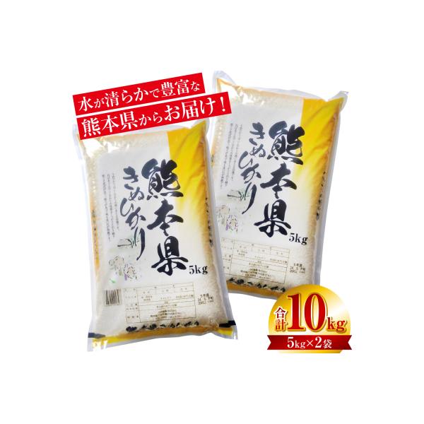 令和8年産 熊本県産 きぬひかり 10kg 精米 お米 白米 _132-6049-D