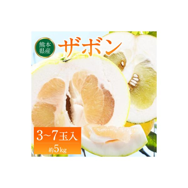 八代市 【先行予約】訳あり八代ザボン約5kg【2026年11月上旬より順次発送】_232-4969-A